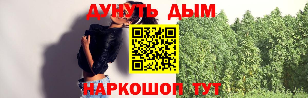 Бошки марихуана Bruce Banner  МАРИХУАНА план  Бошки Шишки SATIVA & INDICA  Санкт-Петербург  Шишки марихуана тримм  Вход с VPN 